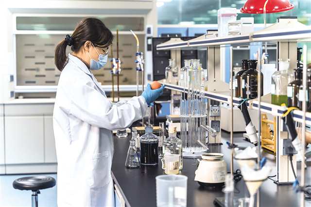 潼南做實強鏈工程，推動檸檬果“吃干榨盡”工程與技術研究發展