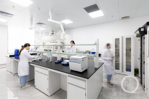 新式茶飲邁入科技新篇章 行業首個專業食品營養與科學研究中心成立